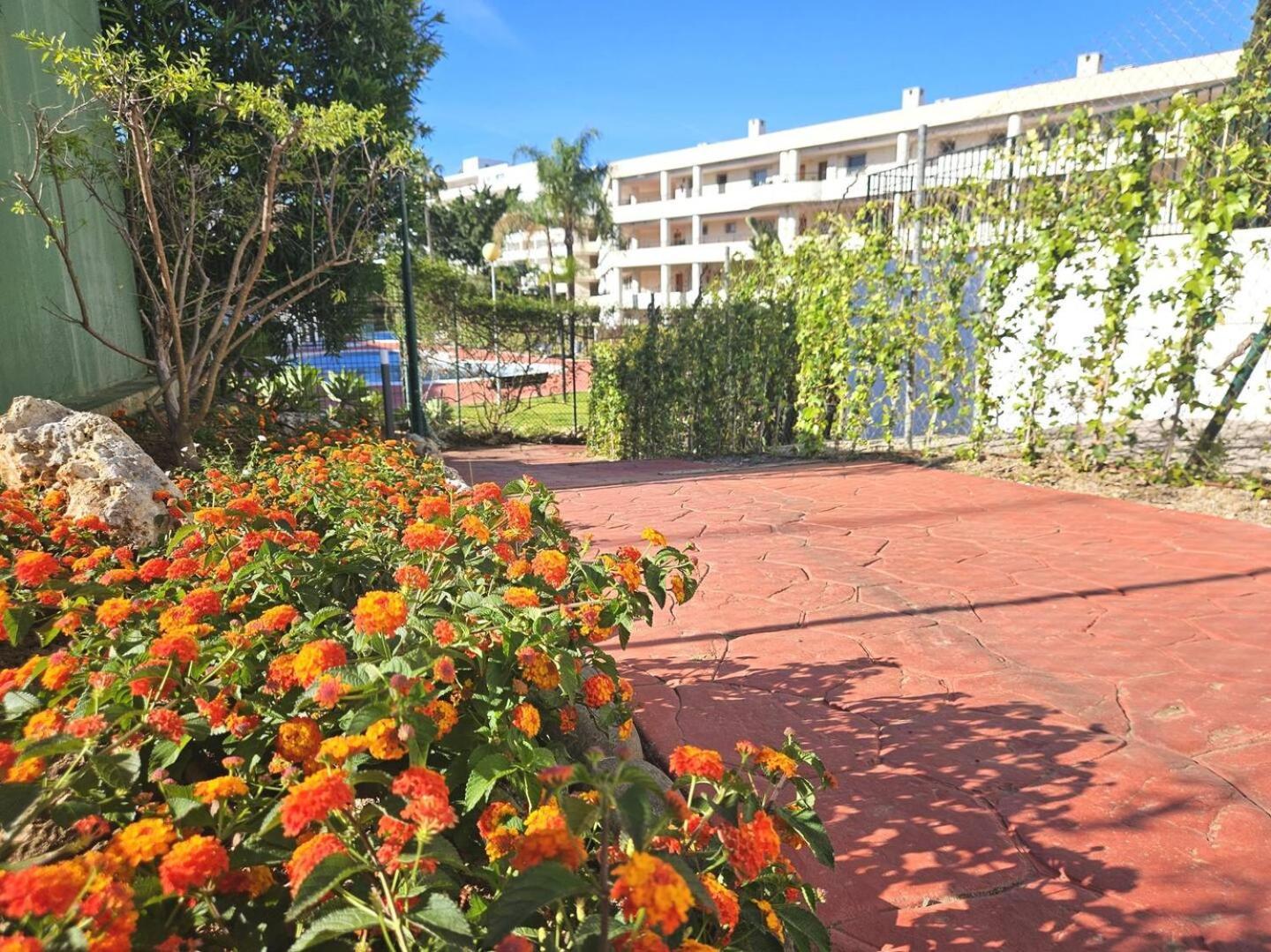 Pass The Keys And Bright Apartment